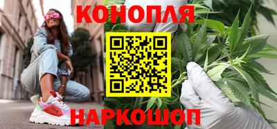 прущие грибы Обнинск